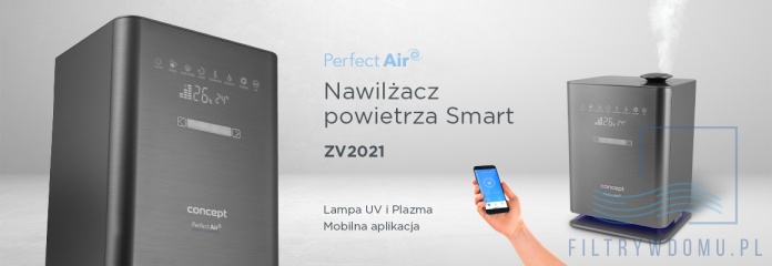 banner ZV2021